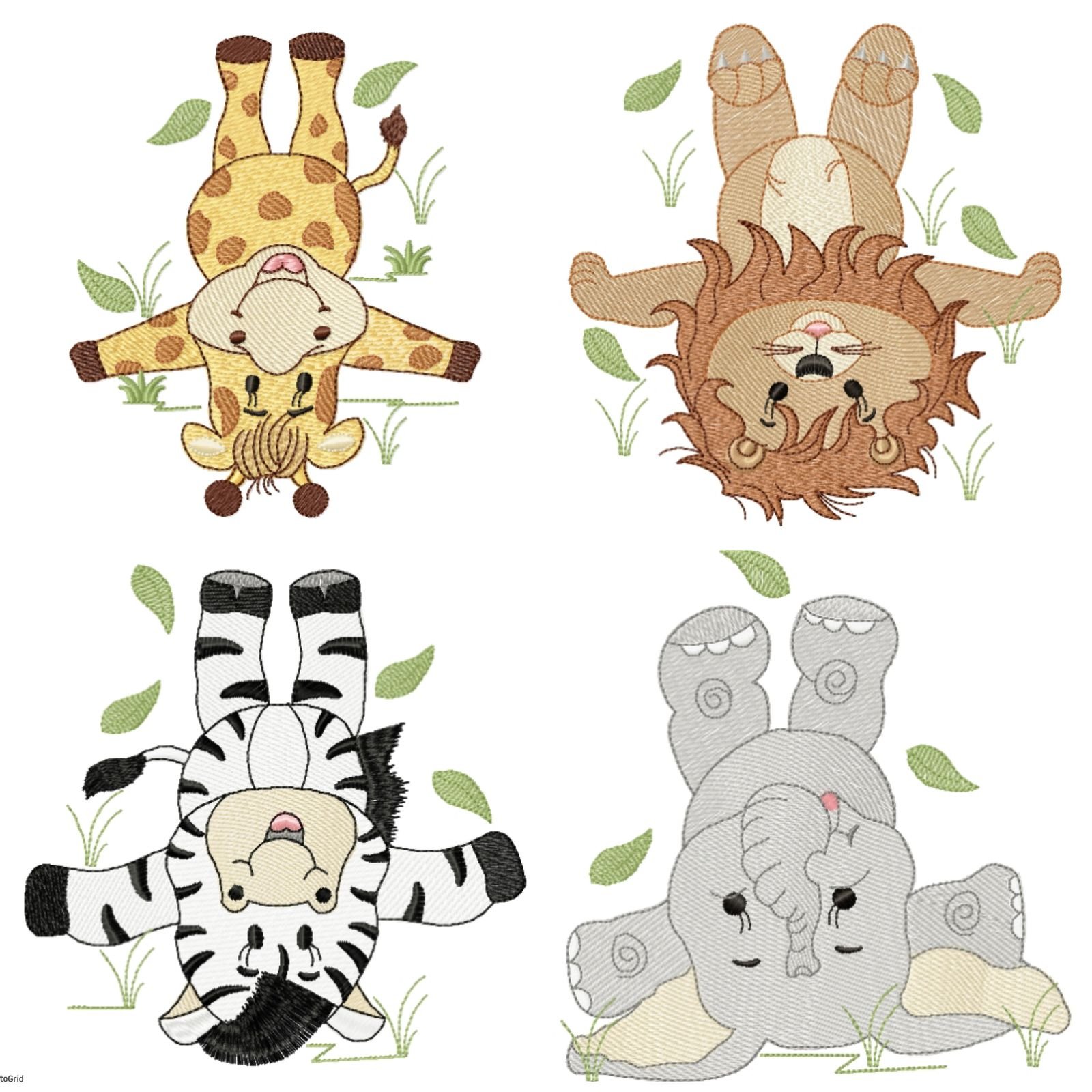 Safari Na Árvore - Imagem 2