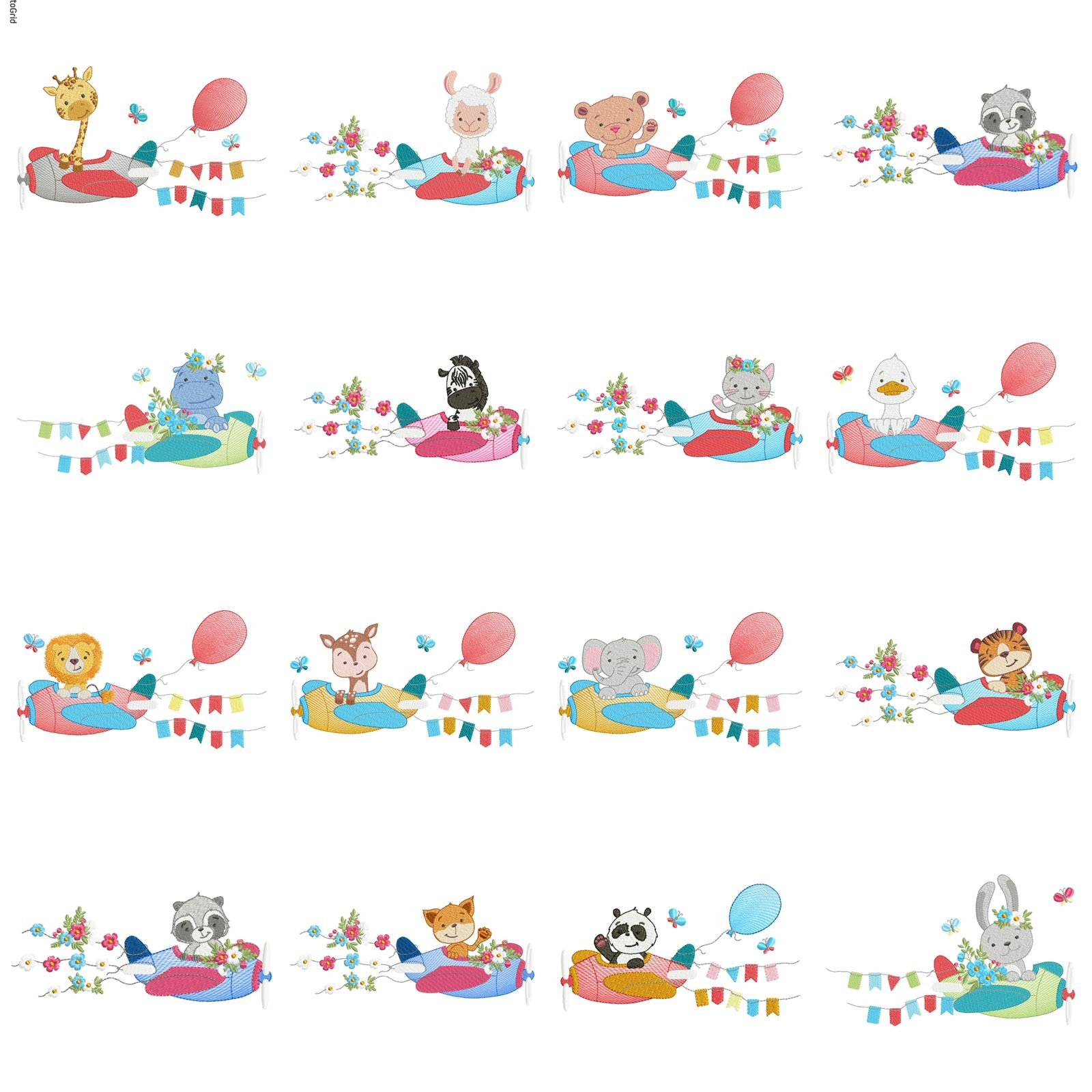 Animais no Avião - Imagem 2