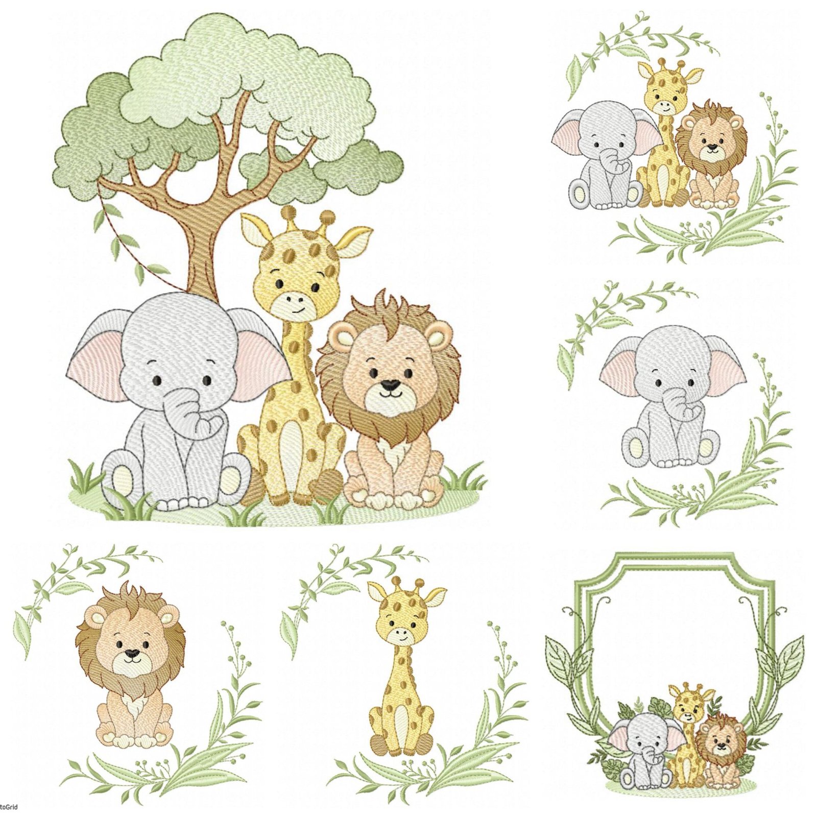 Safari Menino Floresta