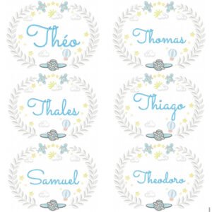 70 Nomes Meninos Aviador