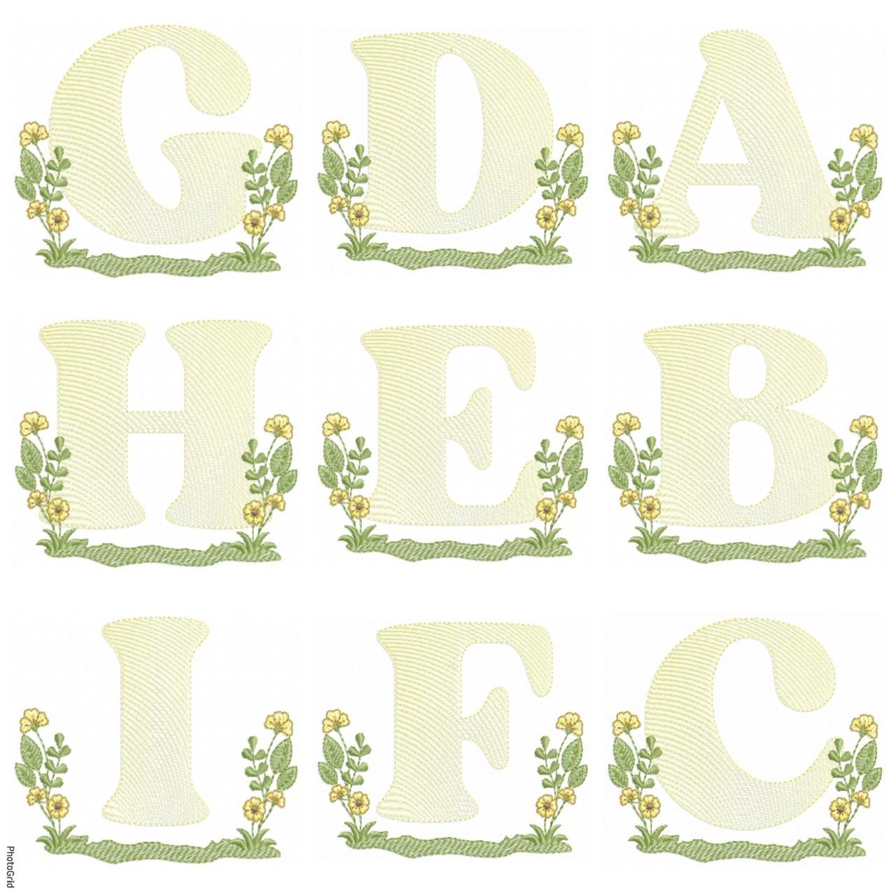 Alfabeto Girassol 10x10
