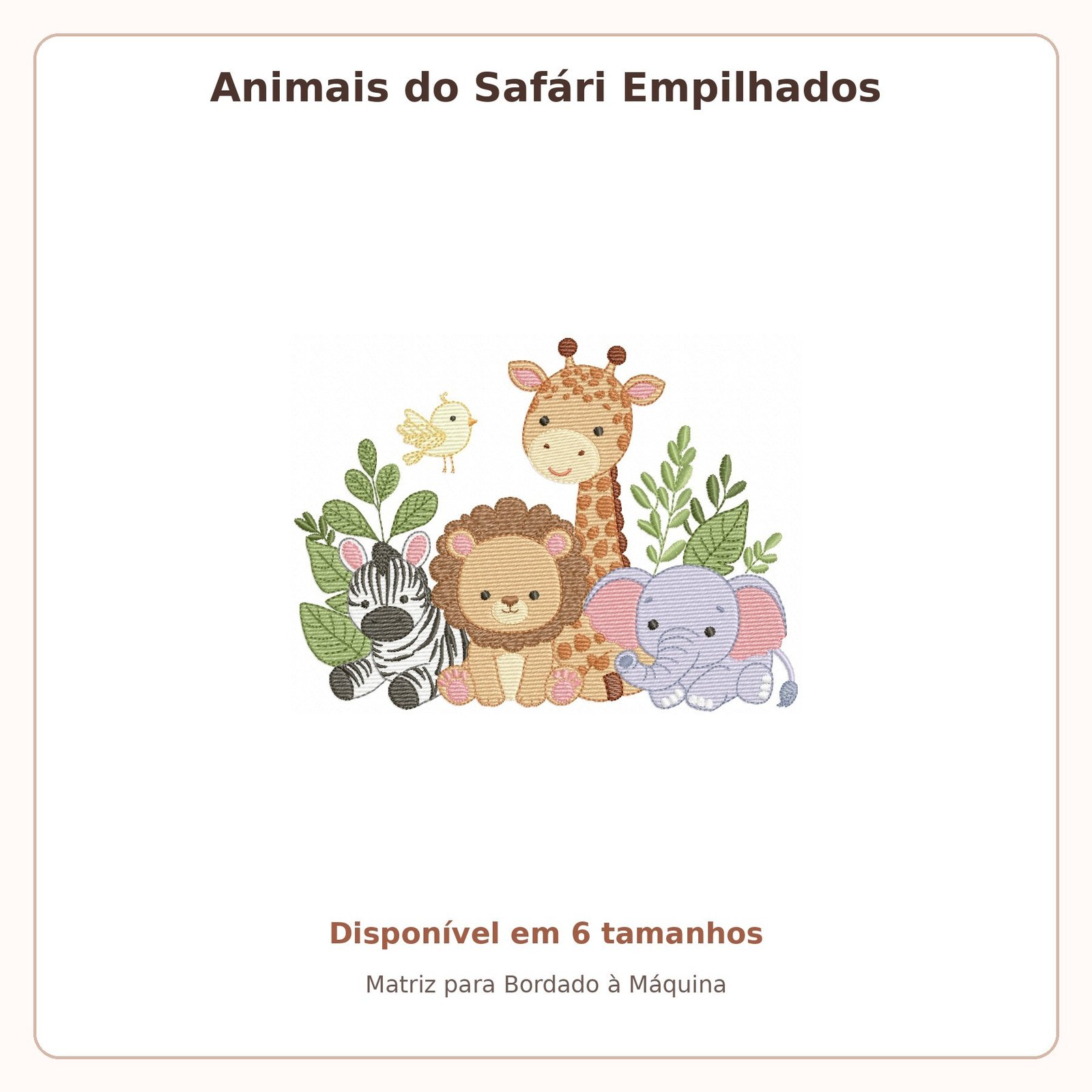 Safari quarteto