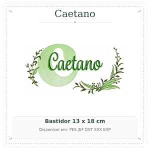 Matriz de Bordado Nome Caetano Folhas e Ramos Sobreposto 13x18