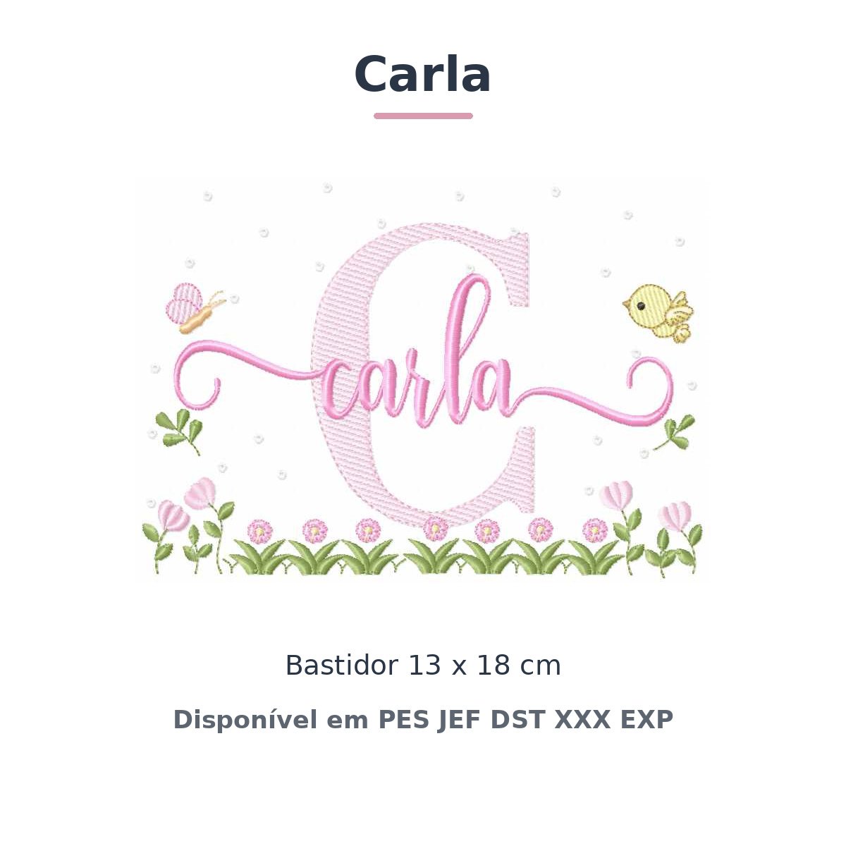 Matriz de Bordado Nome Carla Jardim Flores e Pássaros 13x18