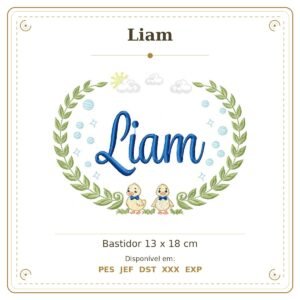 Matriz de Bordado Nome Liam Patinhos Meninos 13x18